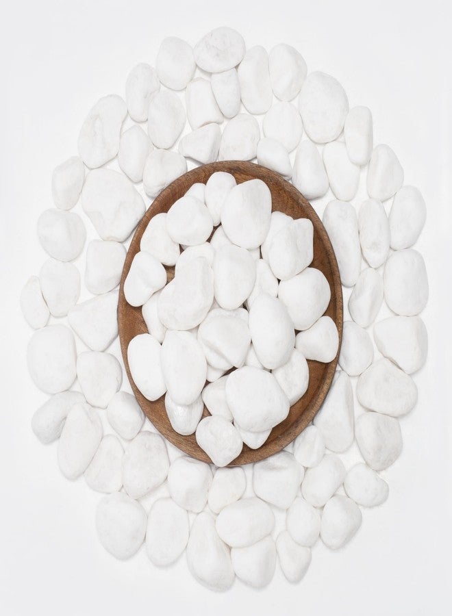 أحجار نهرية طبيعية بيضاء من LOOIOOJ، أحجار زخرفية بحجم 1-1.5 بوصة للنباتات والحدائق وتنسيق المناظر الطبيعية - 10 أرطال، مثالية لأحواض الأسماك والمزهريات والأعمال الحرفية وديكور المنزل وتنسيق الحدائق الخارجية - Image 1